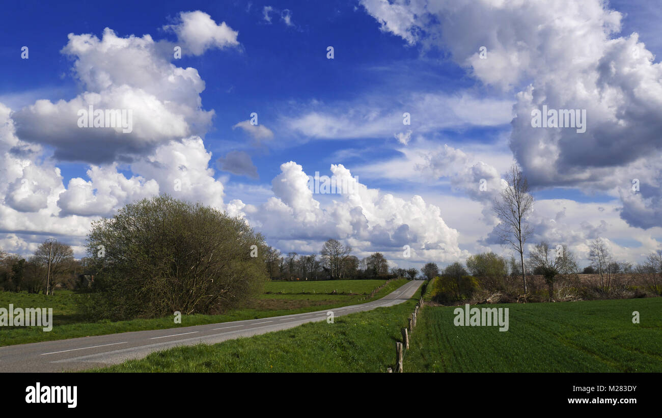 Une petite route dans la campagne en avril (au nord de la Mayenne, Pays de la Loire, France). Banque D'Images