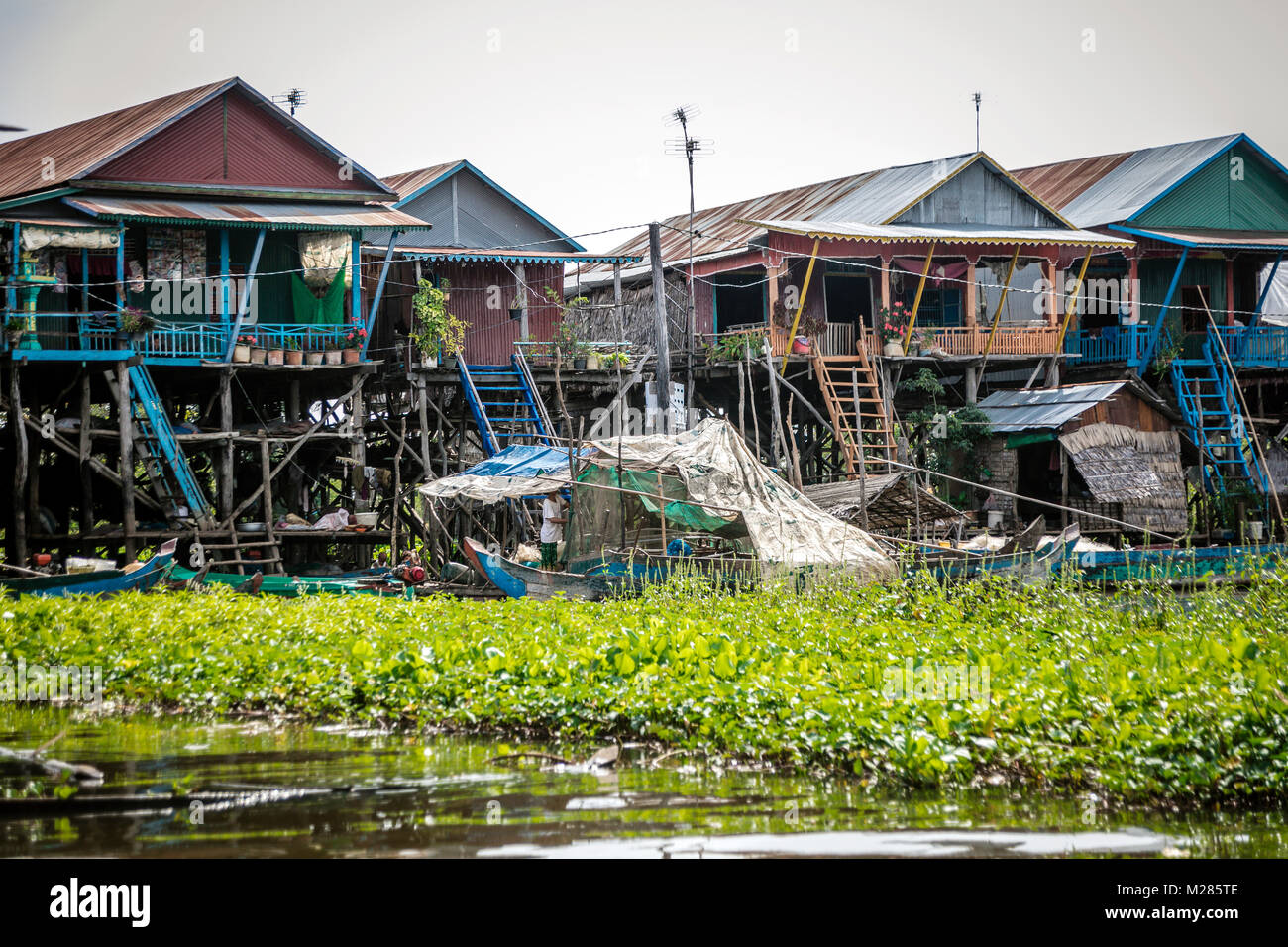 Maisons sur stillts, Kampong Phluk village flottant, la Province de Siem Reap, au Cambodge. Banque D'Images