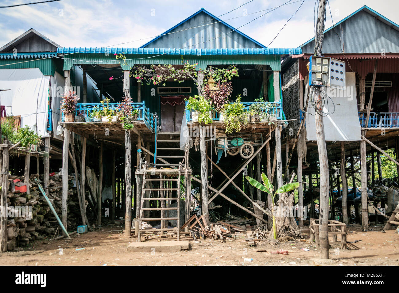 Plantes en pots de chambre sur balacony sur stillts, Kampong Phluk village flottant, la Province de Siem Reap, au Cambodge. Banque D'Images