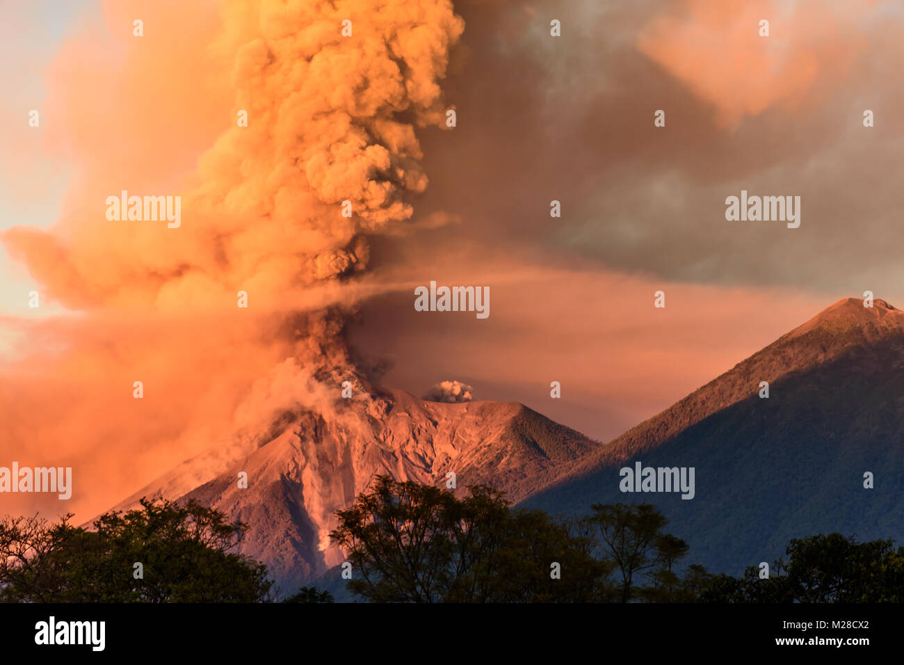 Éruption du volcan Fuego à l'aube à côté de volcan Acatenango près de Antigua, Guatemala, Amérique Centrale Banque D'Images