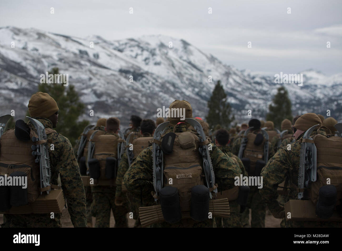 Marines avec la Force Arctic Edge traverse une montagne lors d'une randonnée dans le cadre de conditionnement froid à Marine Corps Formation Centre de formation de la guerre en montagne, Bridgeport, Californie, le 25 janvier 2018. Environ 90 soldats ont participé à la semaine où ils ont appris les techniques de survie, comment traverser un terrain montagneux et le froid d'entretien d'armes. La formation préparera les Marines de la force conjointe de l'exercice formation Artic Edge dans le nord de l'Alaska, qui exposera des Marines de la péninsule de conditions météorologiques extrêmes. (U.S. Marine Corps Banque D'Images