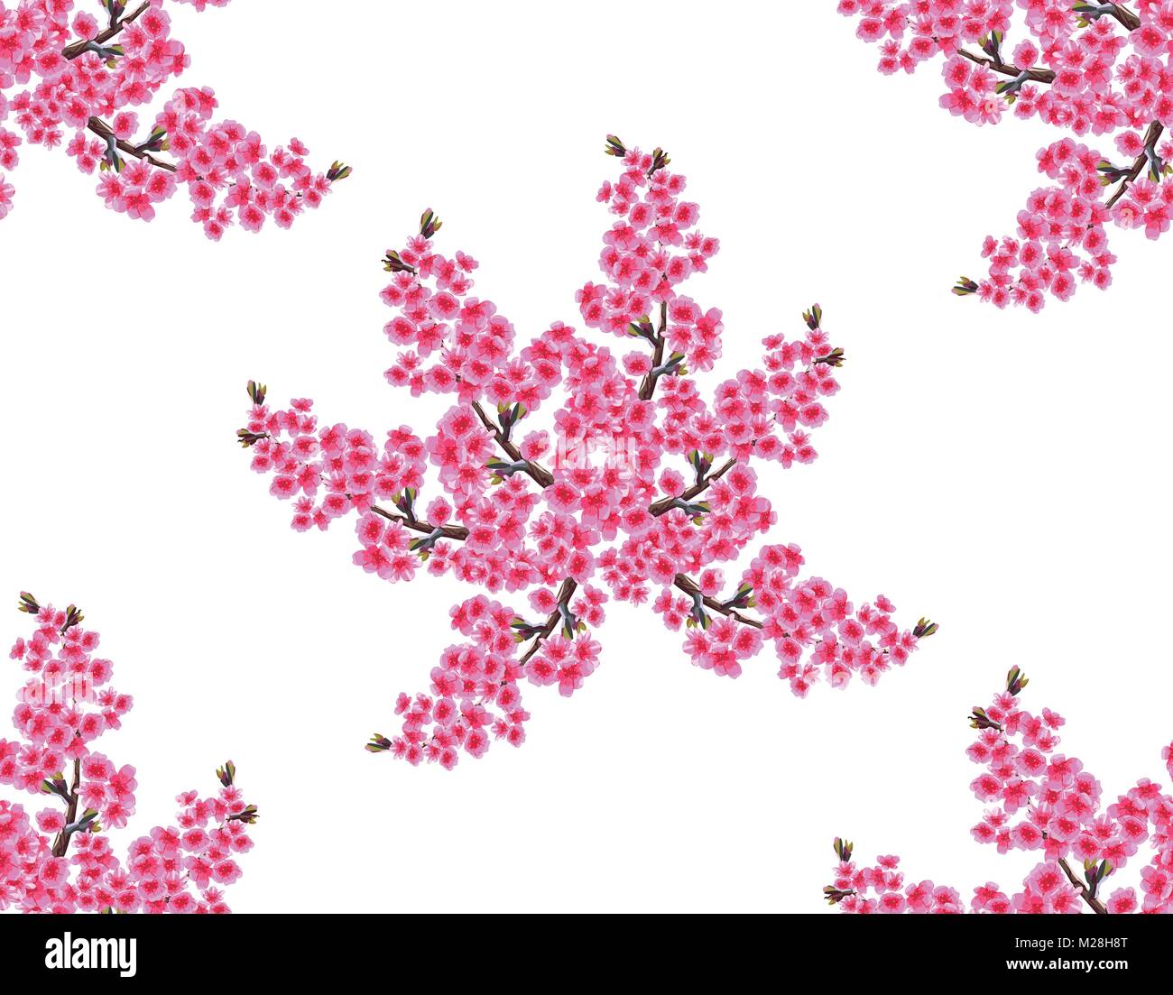Sakura. Bouquet de délicates fleurs luxuriantes et les bourgeons de cerisier. Fluide, sans filet et gradient. Isolé sur fond blanc. Illustration de Vecteur