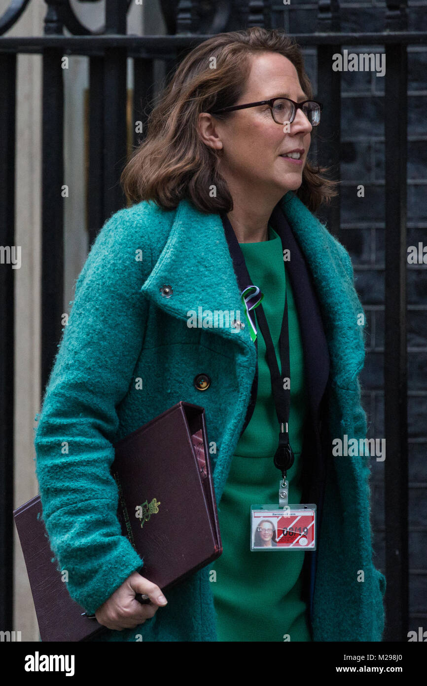 Londres, Royaume-Uni. 6 Février, 2018. La baronne Evans de Bowes Park, chef de la Chambre des Lords et Lord du Sceau Privé, feuilles 10, Downing Street, à la suite d'une réunion du Cabinet. Credit : Mark Kerrison/Alamy Live News Banque D'Images