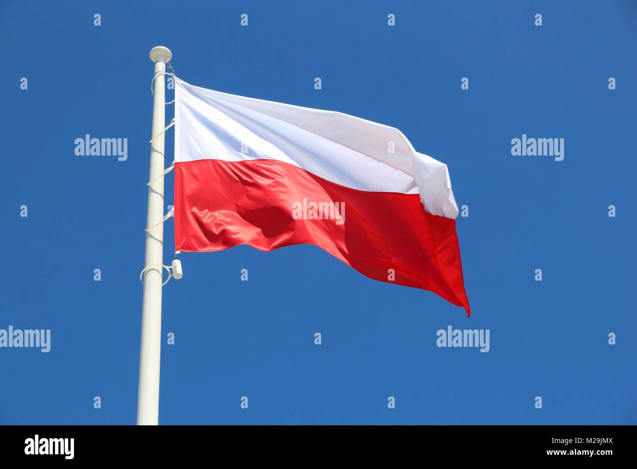 Drapeau polonais - couleurs nationales de la Pologne sur un mât. Banque D'Images