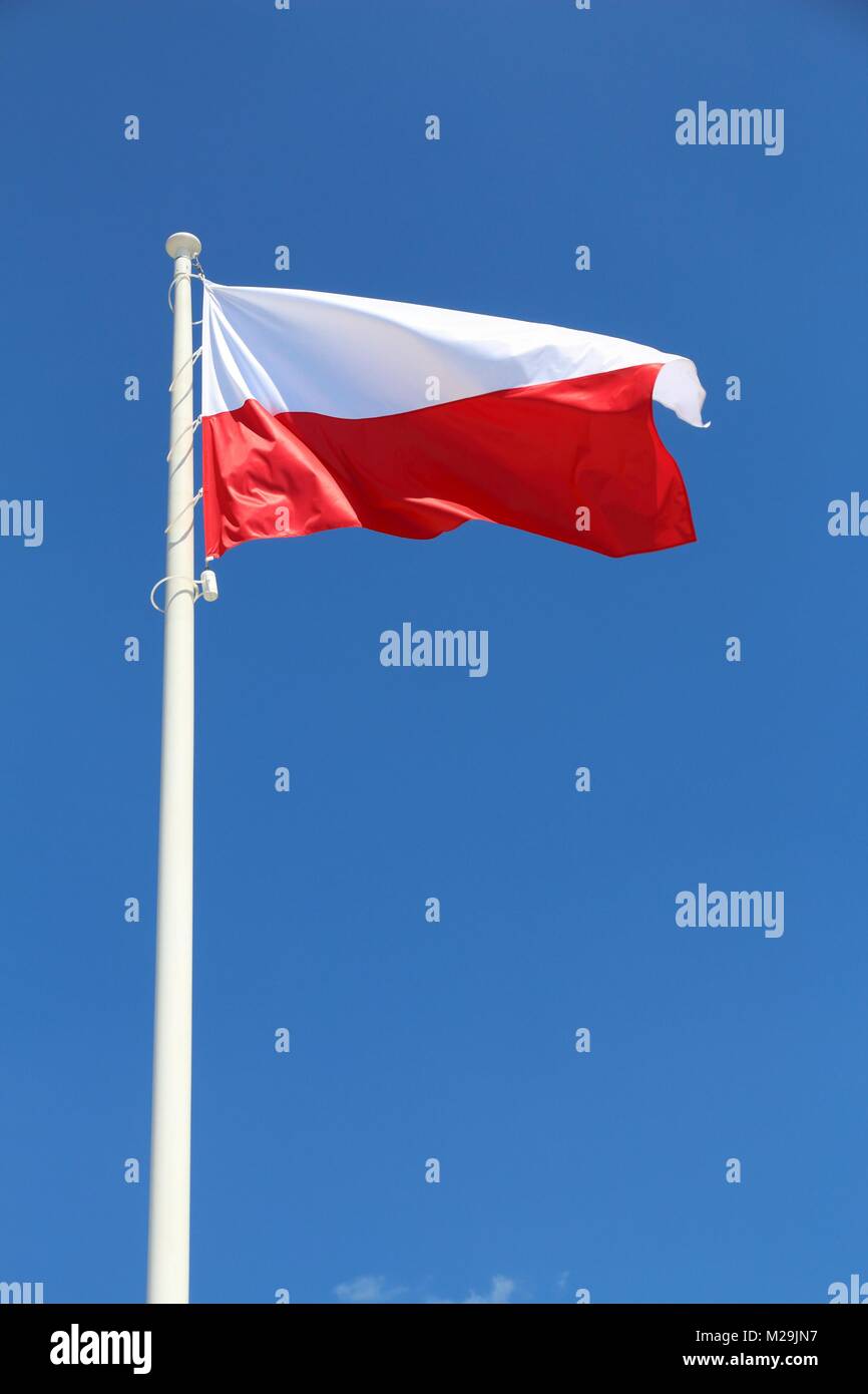 Drapeau polonais - couleurs nationales de la Pologne sur un mât. Banque D'Images