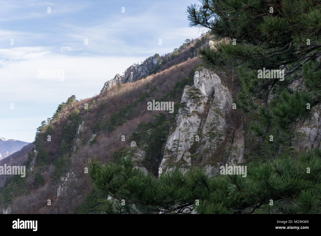 Dans les falaises Domogled - Valea Cernei Parc National dans le sud-ouest de la Roumanie Banque D'Images