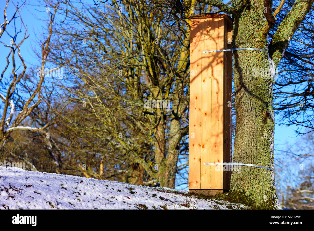 Grand hôtel d'insectes en bois remplis de bois pourri ou mulm habituellement trouvés dans de vieux arbres creux. Le mulm est un habitat et nourriture pour les insectes, les larves et b Banque D'Images