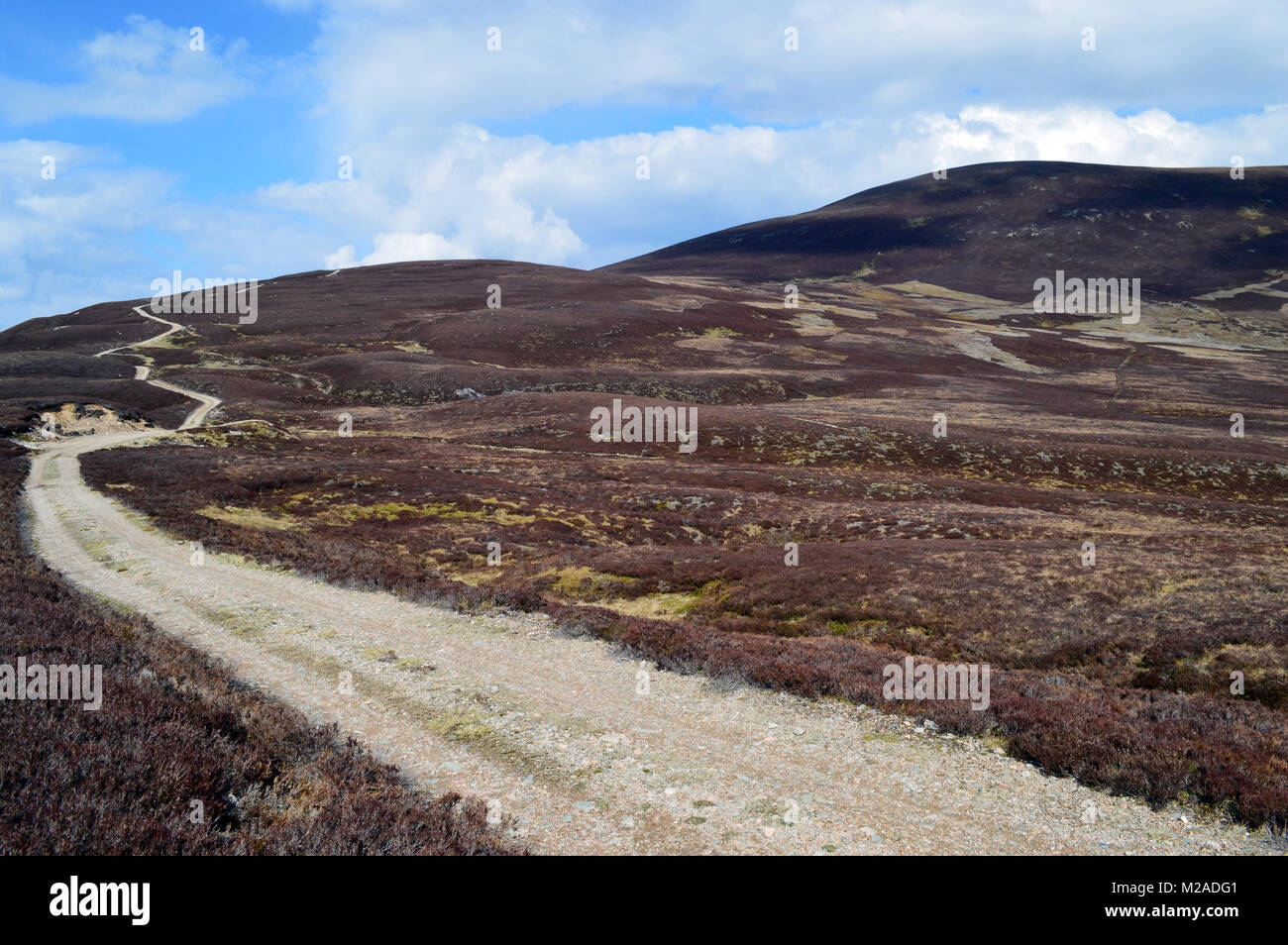 La voie menant à la montagne écossaise de Culardoch Keiloch Corbett, Invercauld Bridge, le Parc National de Cairngorms, en Écosse, au Royaume-Uni. Banque D'Images