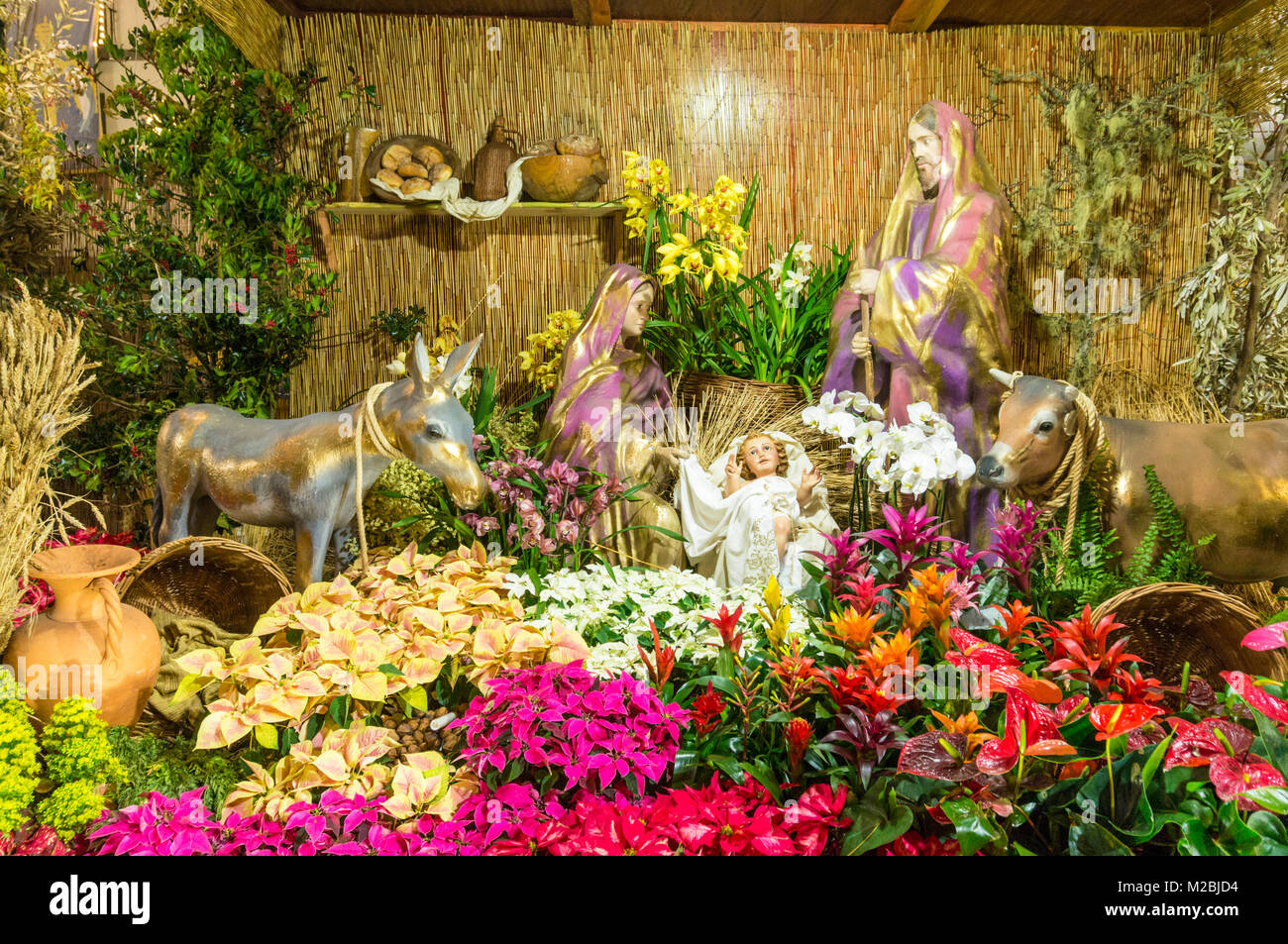 Madère Funchal PORTUGAL MADÈRE beaucoup de fleurs locales dans la scène de la Nativité dans la foire de Noël dans le centre de Funchal Madeira Portugal europe de l'UE Banque D'Images
