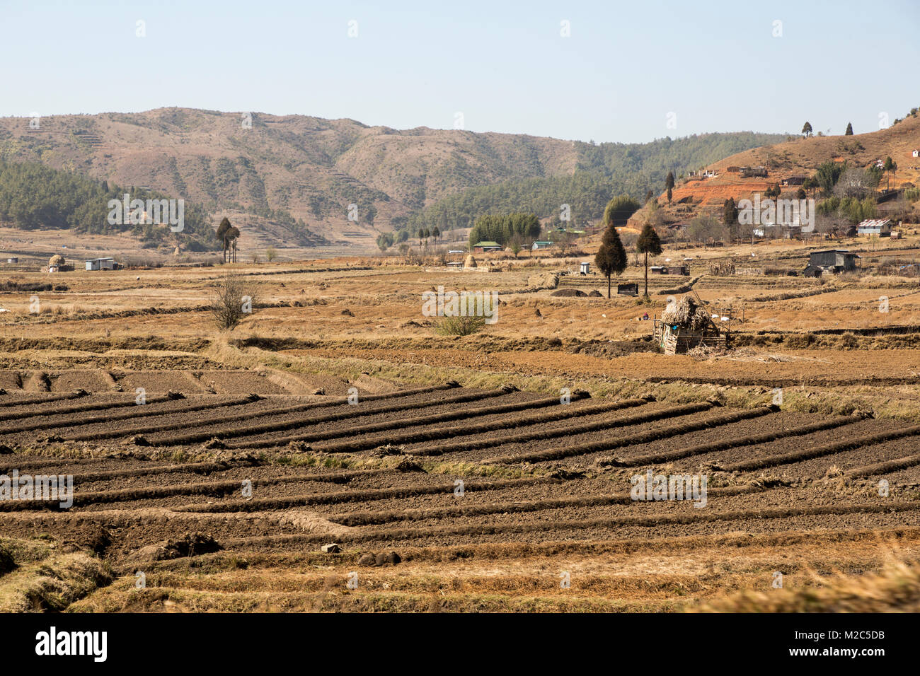 Les terres agricoles et les champs en terrasses sur de manière Mawsynram à Shillong, Meghalaya, en Inde Banque D'Images