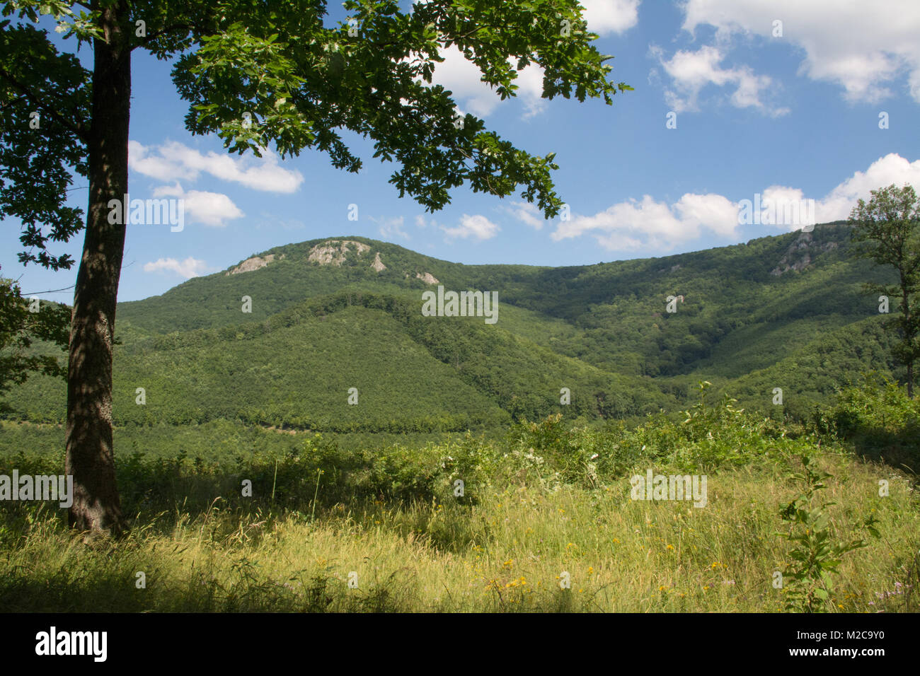 Paysage de montagnes boisées dans le parc national du Bukk (Bükki Nemzeti Park) dans le nord de la Hongrie, de l'Europe Banque D'Images