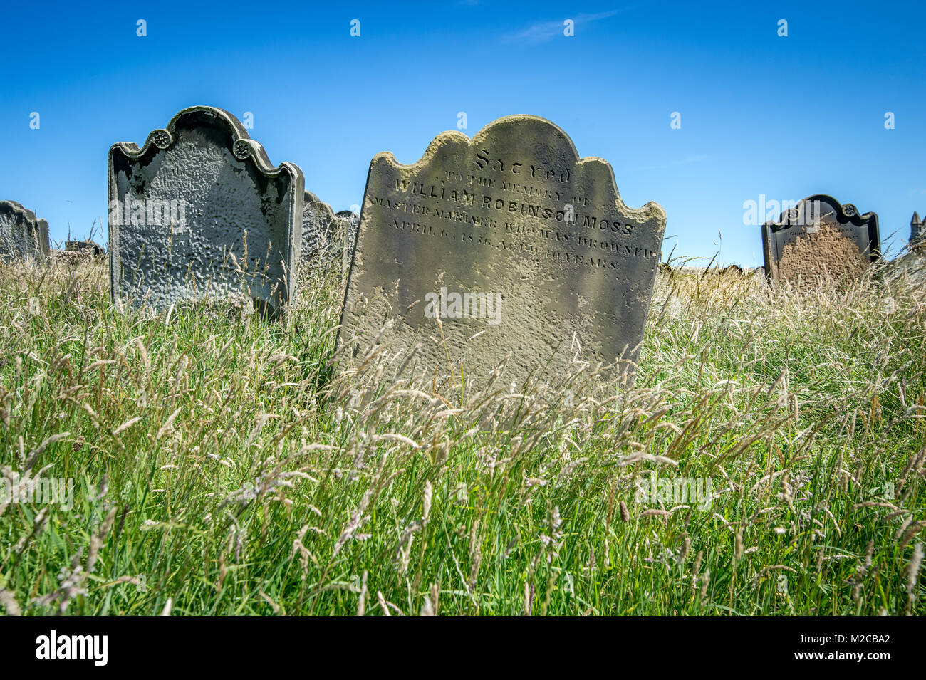 Des pierres tombales surmonté de pics hautes herbes, Whitby, dans le Yorkshire, UK Banque D'Images