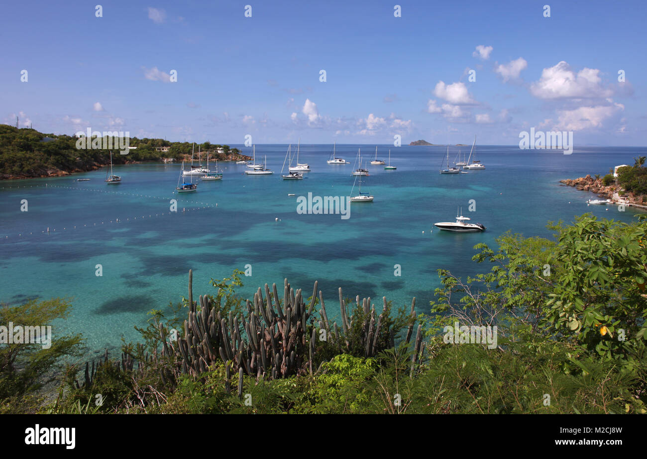 Les voiliers sont amarrés au large de la plage de l'eau de miel sur l'île au large de la côte de St Thomas, Îles Vierges des États-Unis. Banque D'Images