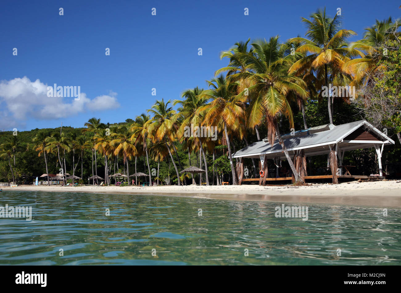 Honeymoon Beach sur l'île de l'eau au large de la côte de St Thomas, îles Vierges américaines, est bordée de palmiers et des eaux peu profondes. Banque D'Images