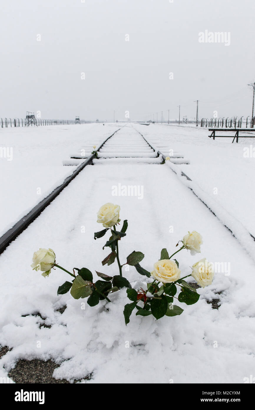 Auschwitz, Malopolskie / Pologne - 04 févr. 2018 : Auschwitz Birkenau, camp de concentration et d'extermination nazis. Banque D'Images