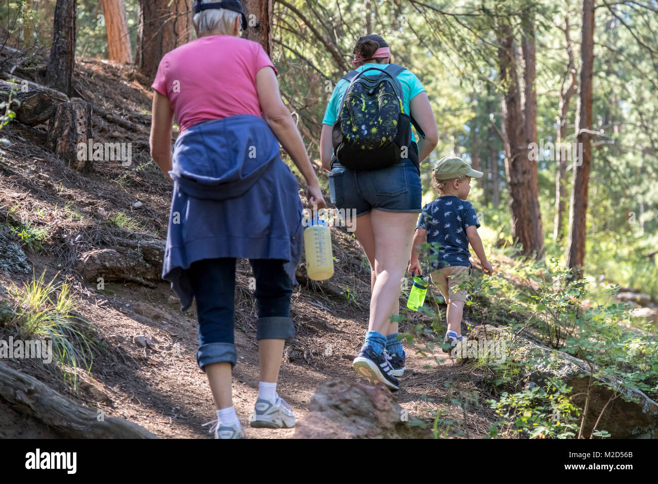 Kittredge, Colorado - Adam Hjermstad Jr., 3, conduit sa mère et sa grand-mère l'occasion d'une randonnée sur le Panorama Point Trail. Banque D'Images