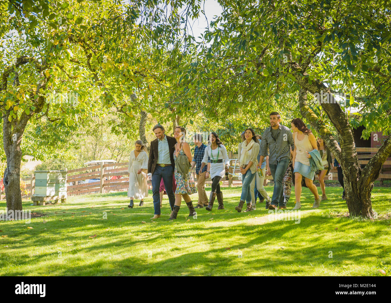 Les amis de marcher sous les arbres herbe Banque D'Images