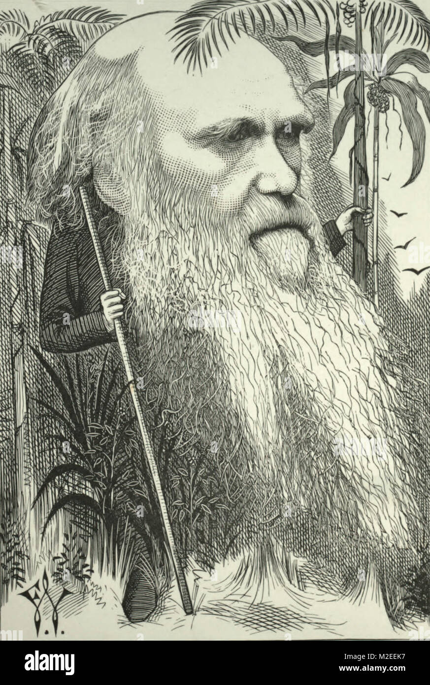 Caricature de Charles Darwin Banque D'Images