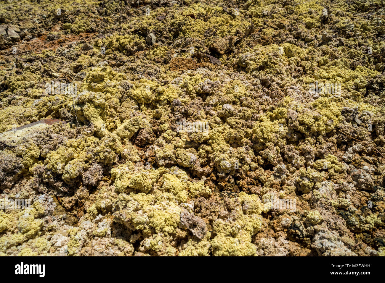 Couleurs fantastiques de Rio Tinto. La rivière est célèbre pour sa couleur rouge profond en raison de la forte concentration de sels de fer et de sulfates dans l'eau. Province H Banque D'Images