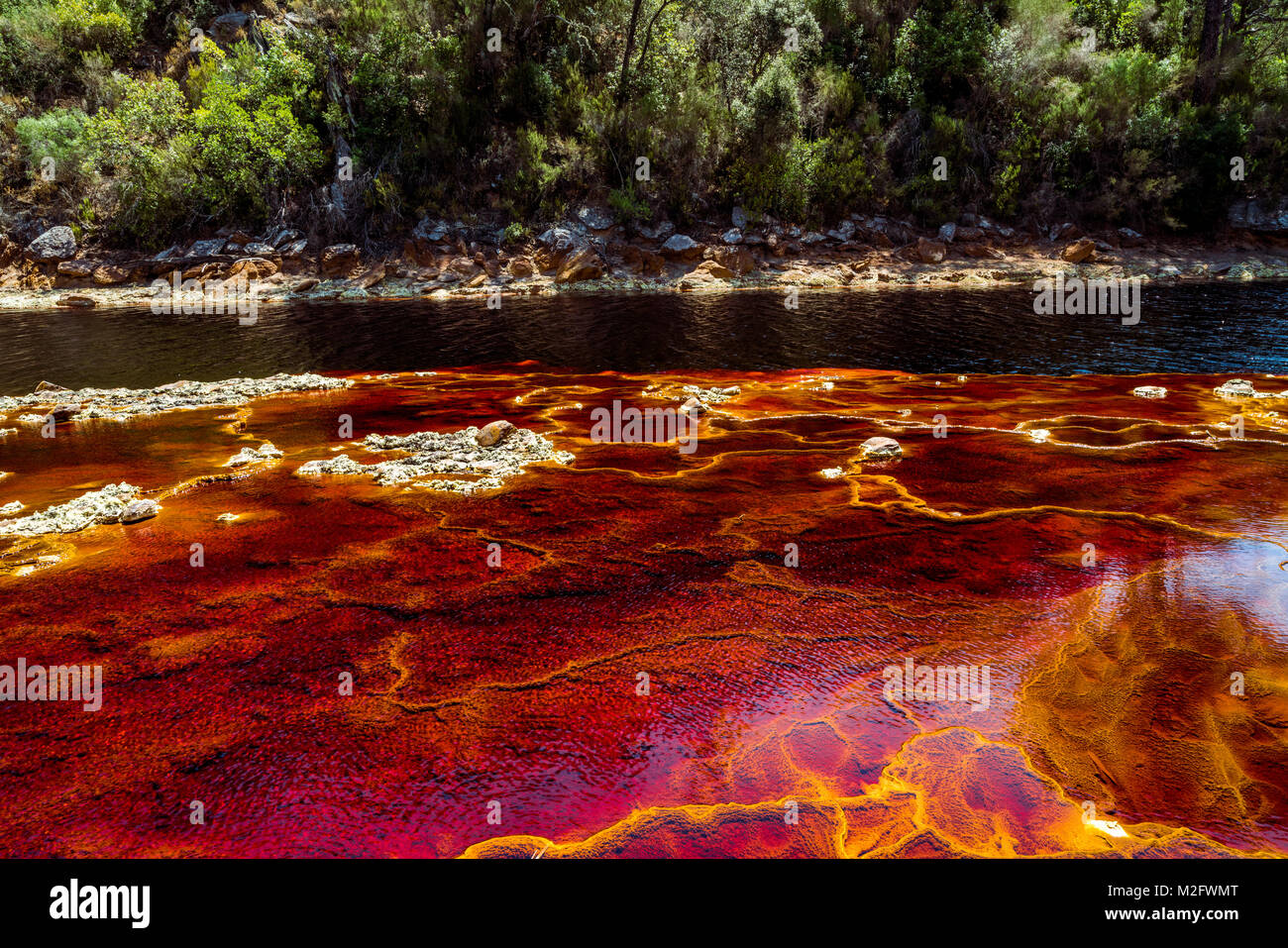 Couleurs fantastiques de Rio Tinto. La rivière est célèbre pour sa couleur rouge profond en raison de la forte concentration de sels de fer et de sulfates dans l'eau. Province H Banque D'Images