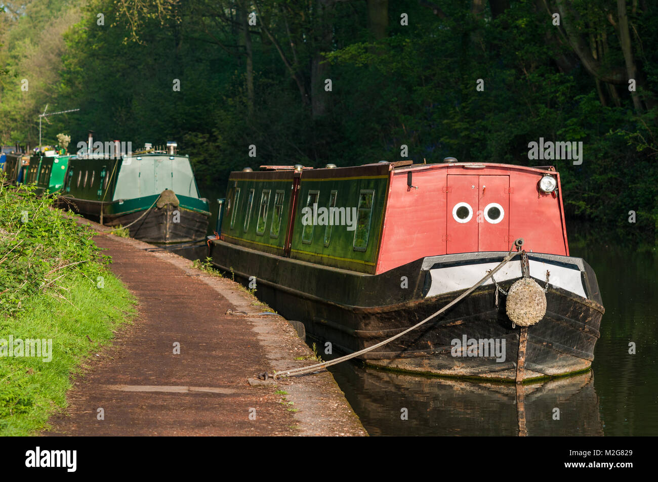 Bateaux amarrés étroit le long d'un chemin de halage sur le Canal Grand Union sur un matin de printemps ensoleillé, Hatton, Warwickshire Banque D'Images