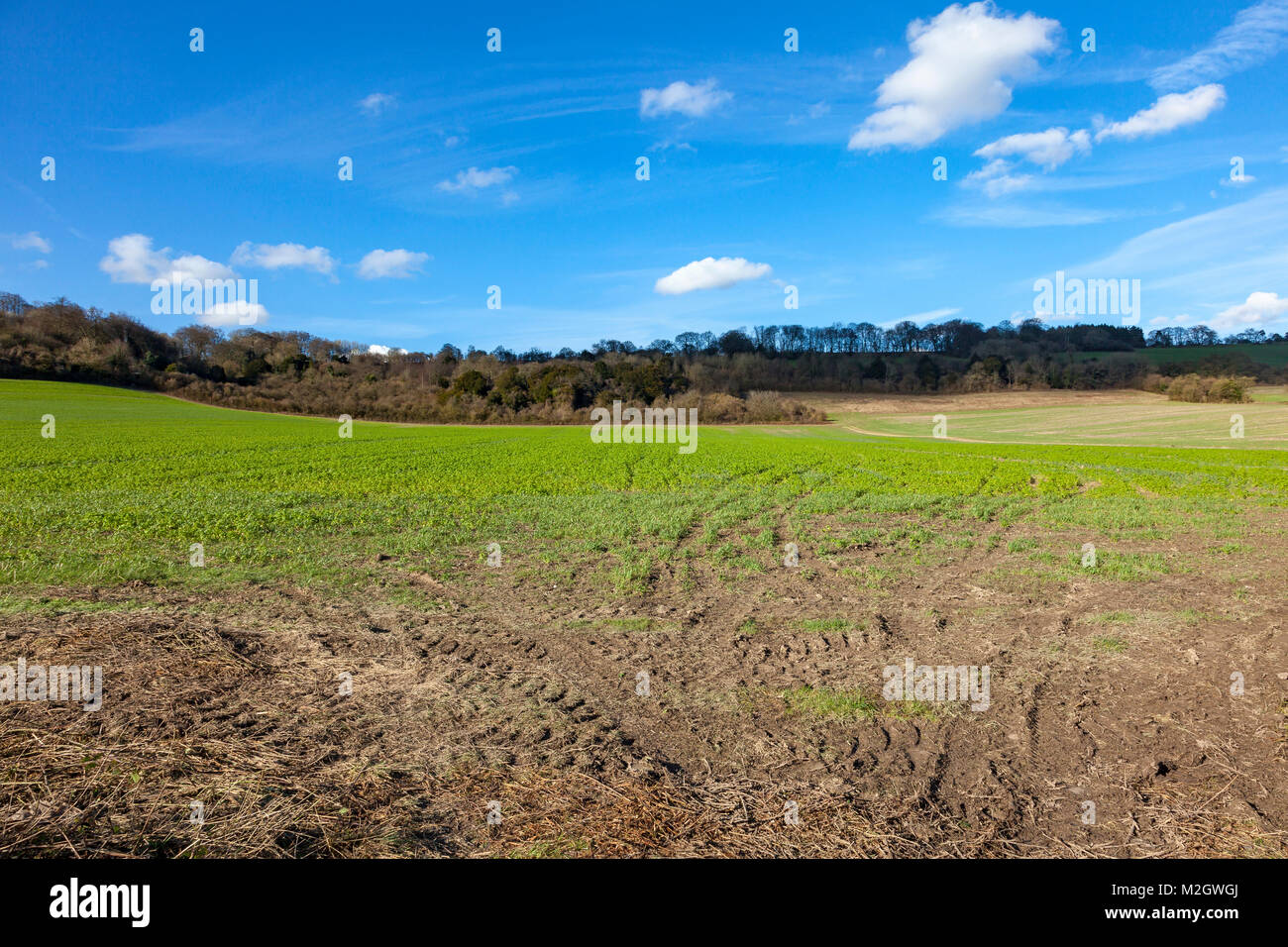 Vue le long chemin en bas de la North Downs près de Westerham, dans le Kent, UK Banque D'Images