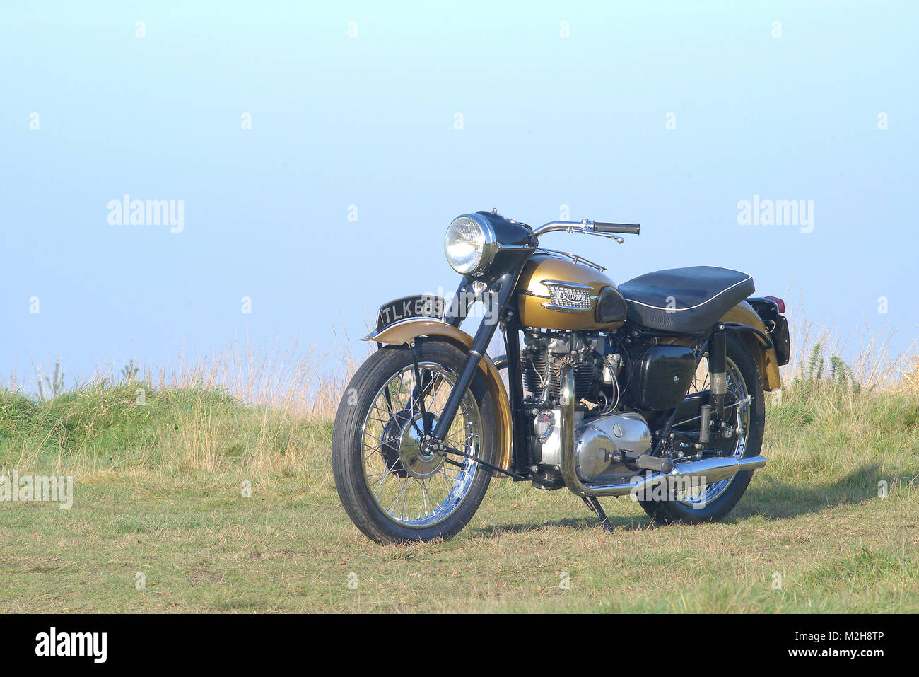 1957 Triumph Thunderbird 650cc fini en bronze métallique peinture or. Banque D'Images