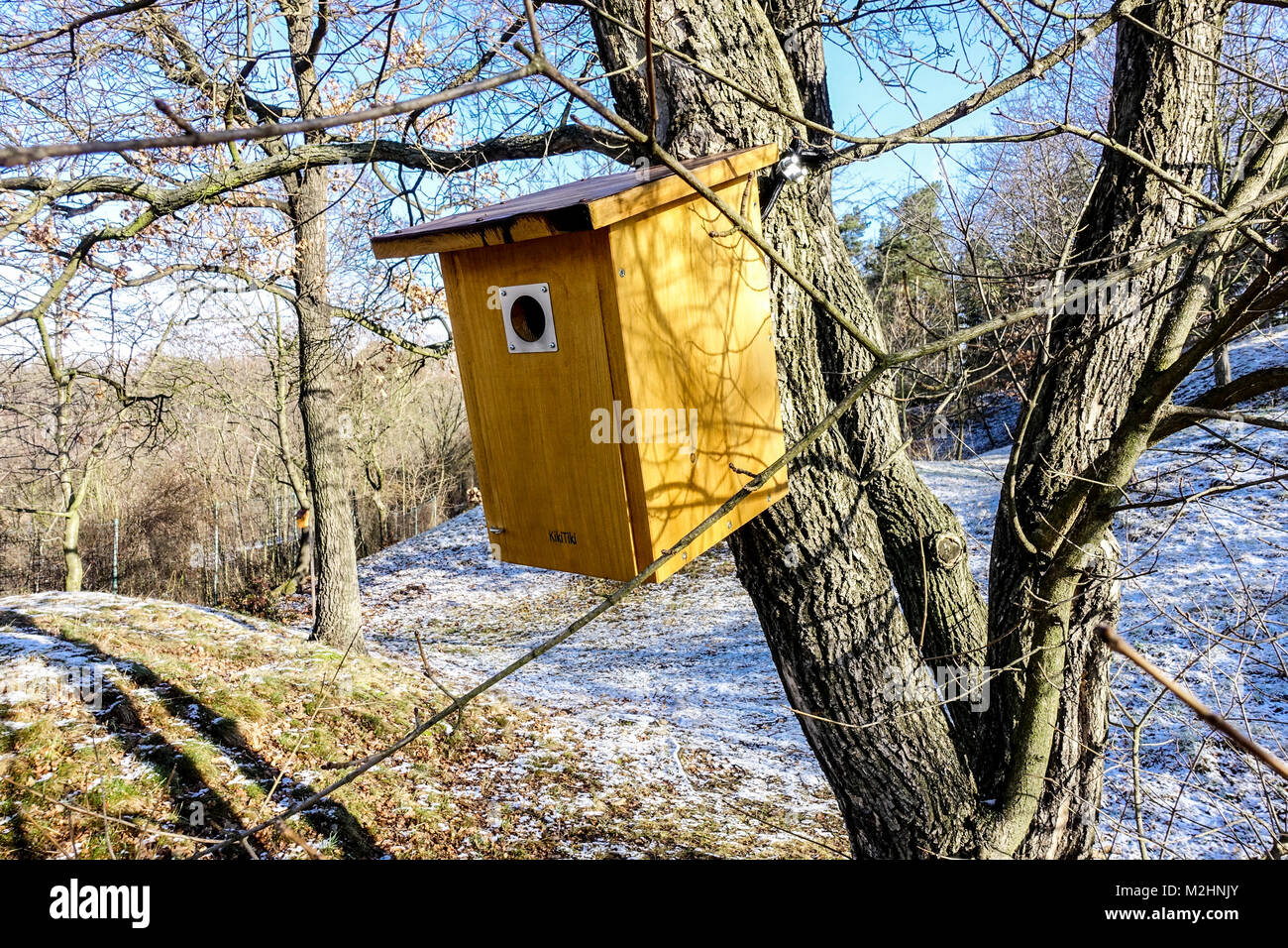 Nichoir en bois d'hiver accroché sur l'arbre au début du printemps, jardin d'hiver de maison d'oiseau fin d'hiver Banque D'Images