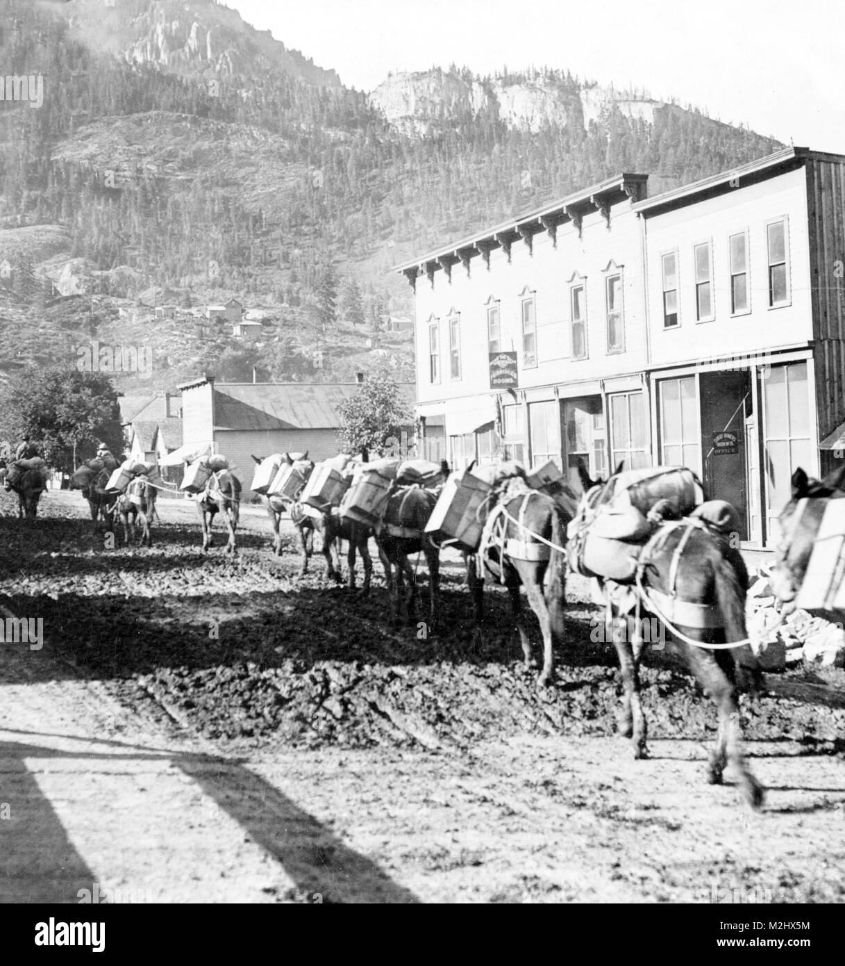 Pack Train, 1905 Banque D'Images