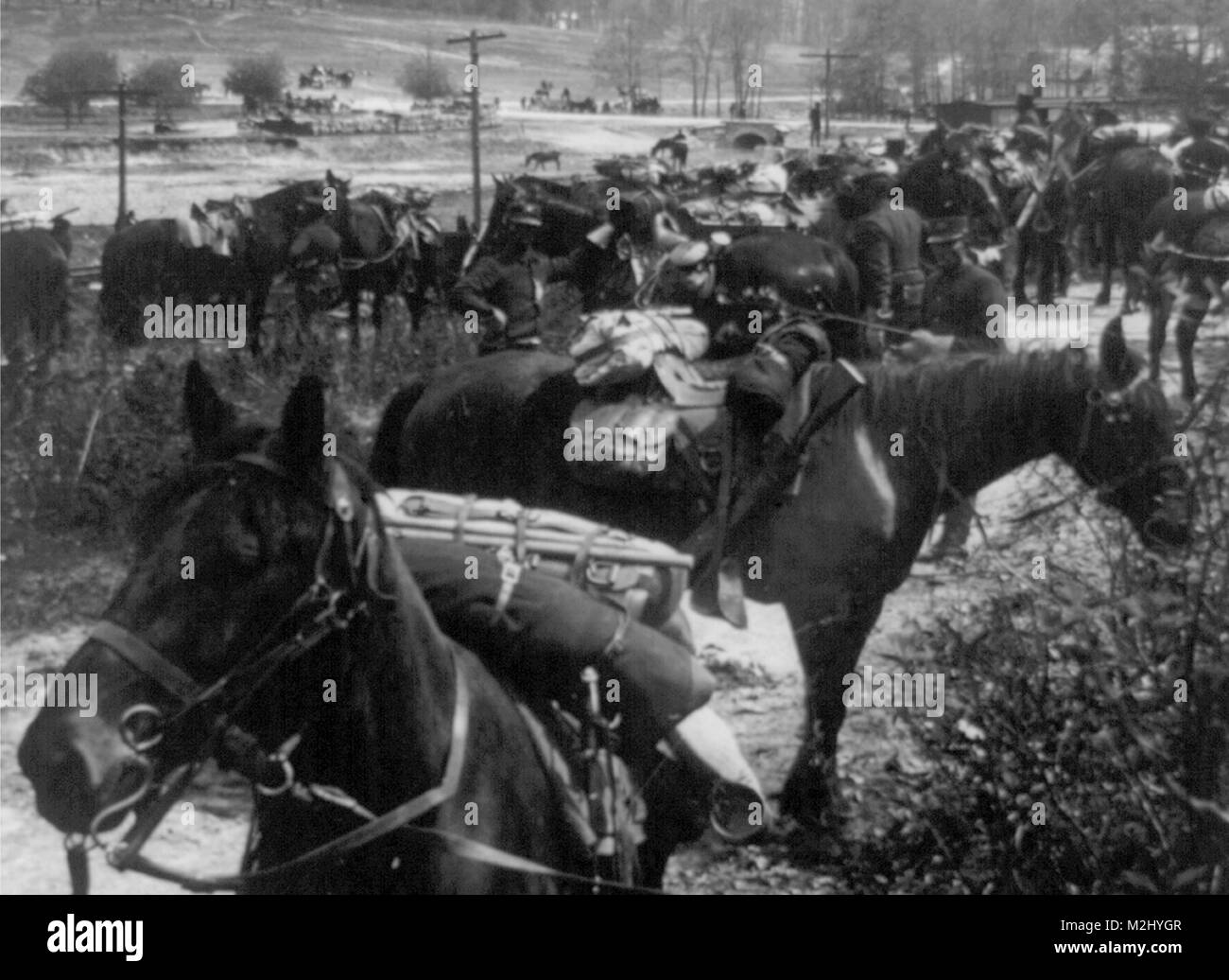 Des soldats Buffalo, 10e Régiment de cavalerie, 1898 Banque D'Images