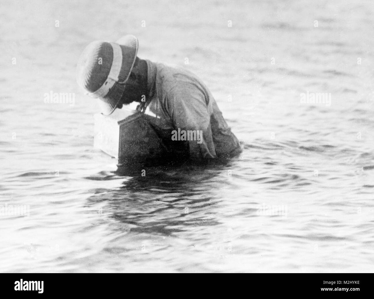 Reighard sous-appareil photo aquatique, 1909 Banque D'Images