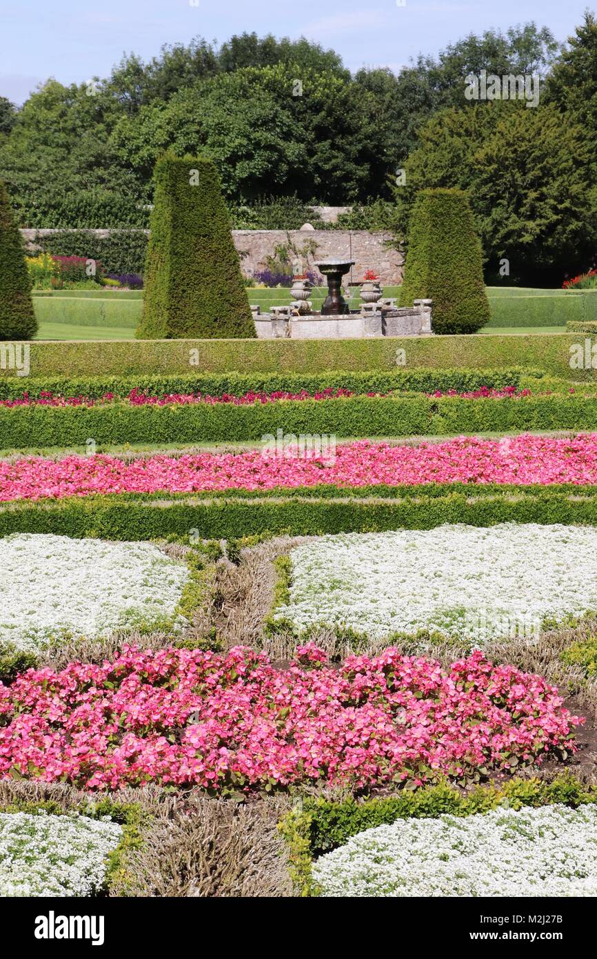 Pitmedden Garden, Ellon, Aberdeenshire, Scotland UK Banque D'Images