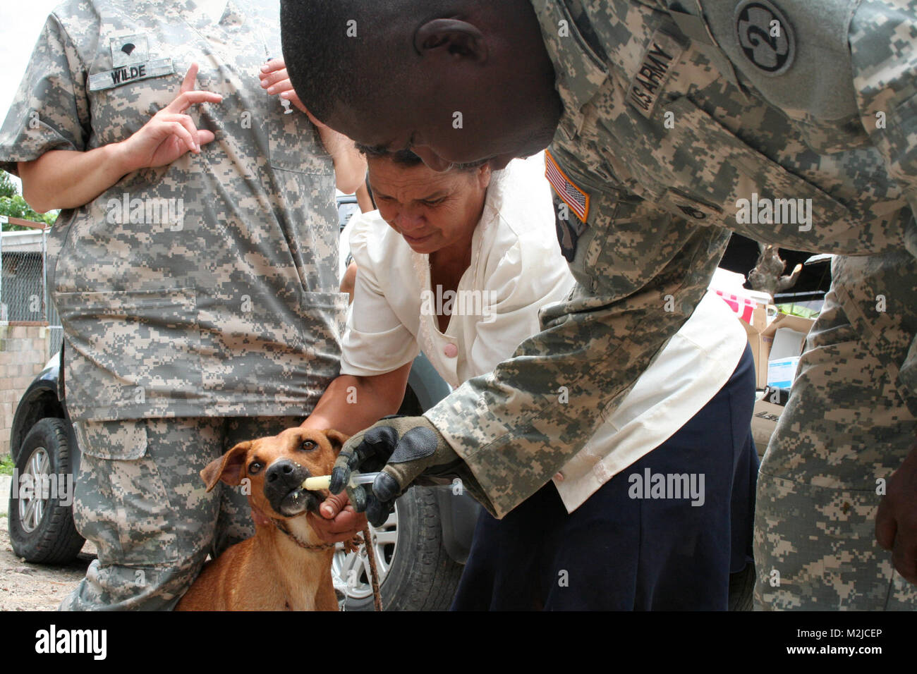 Technicien vétérinaire de la réserve de l'armée, le sergent-chef. Joseph  Taylor de Arvada, Colorado, soigne un chien de femme avec des médicaments  vermifuges à une clinique mobile dans la région de San