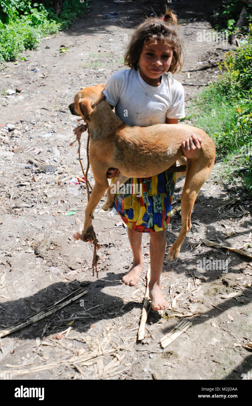 porte bébé pour chien