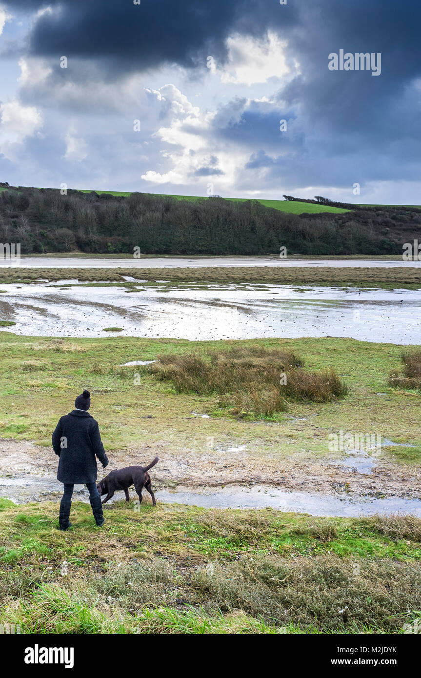 Promenade de chiens - un chien Walker et son chien marche sur le rivage de la rivière Gannel à Newquay Cornwall. Banque D'Images