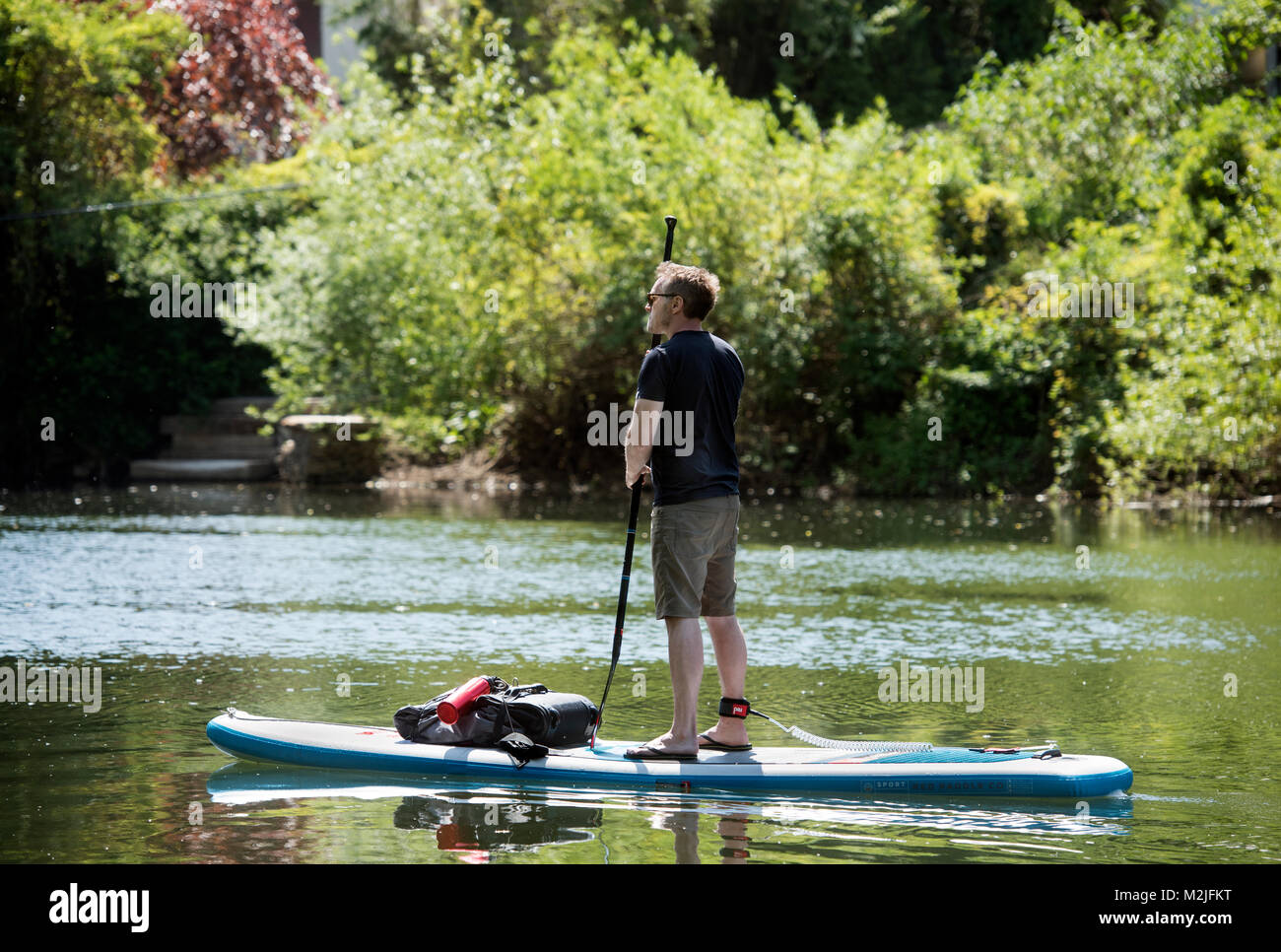 Une pagaie boarder sur la rivière Wye entre Symonds Yat est et l'Ouest, Royaume-Uni Banque D'Images
