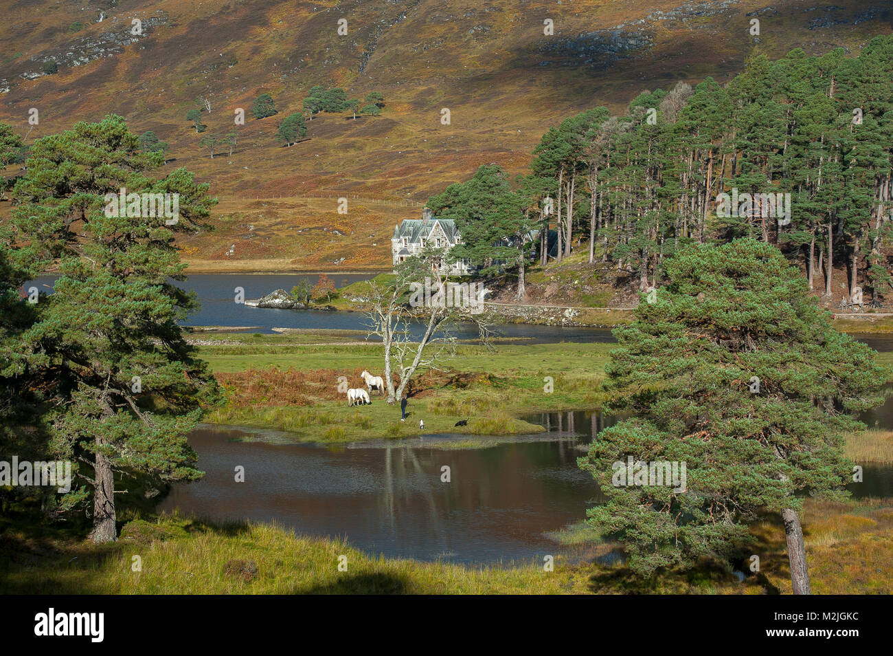 La beauté de l'Ecosse Glen Affric Scottish Highlands Scotland UK Banque D'Images
