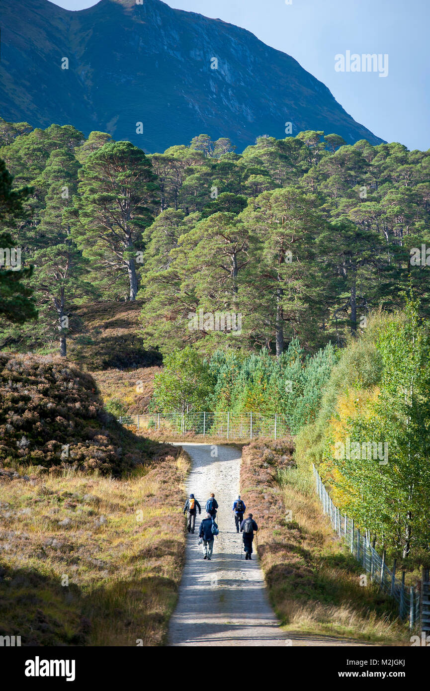 La beauté de l'Ecosse Glen Affric Scottish Highlands Scotland UK Banque D'Images