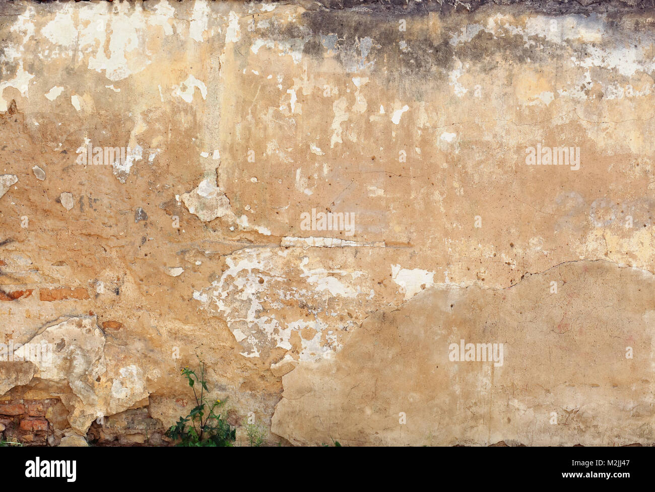 Détruit le mur jaune plâtrés fissurés de gros de se fragmenter en vintage. Banque D'Images
