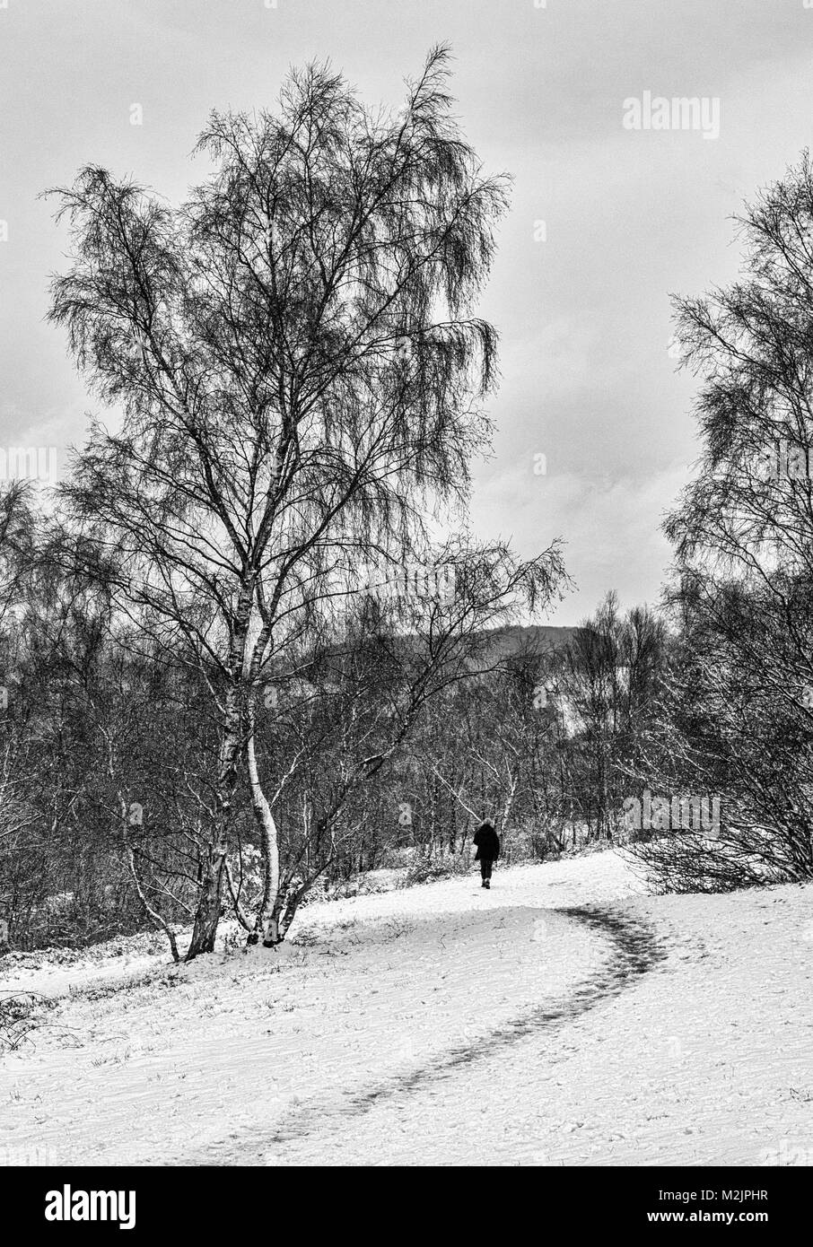 Photo en noir et blanc de neige scène avec personne lointain laissant des traces de pas dans la neige Staffordshire England UK Banque D'Images