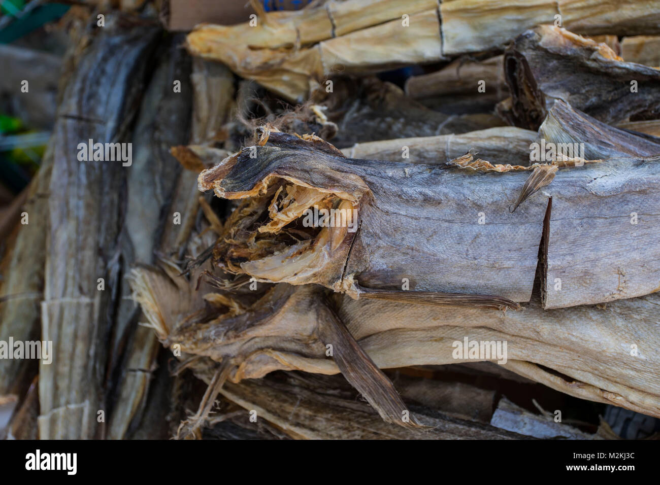 L'alimentation du poisson salé photographie la nature morte Banque D'Images