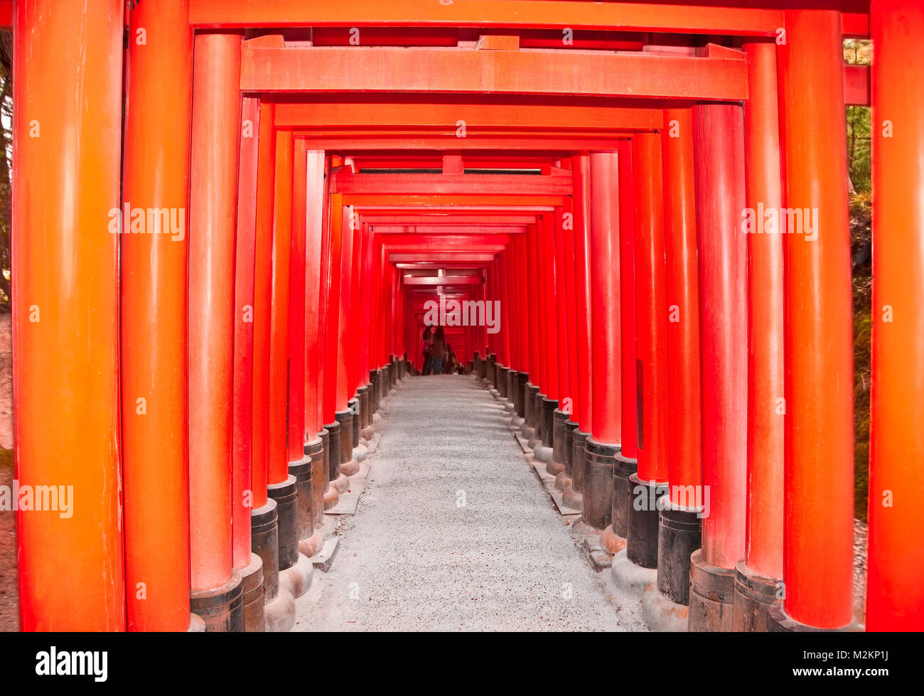Tori gates au Sanctuaire Fushimi Inari à Kyoto, au Japon. Banque D'Images