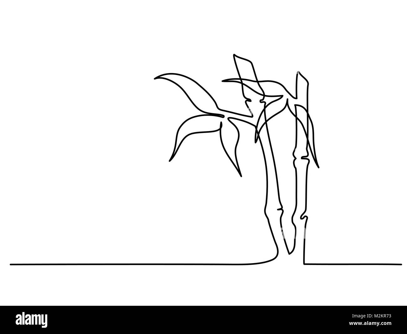 Plante avec des feuilles de bambou Illustration de Vecteur