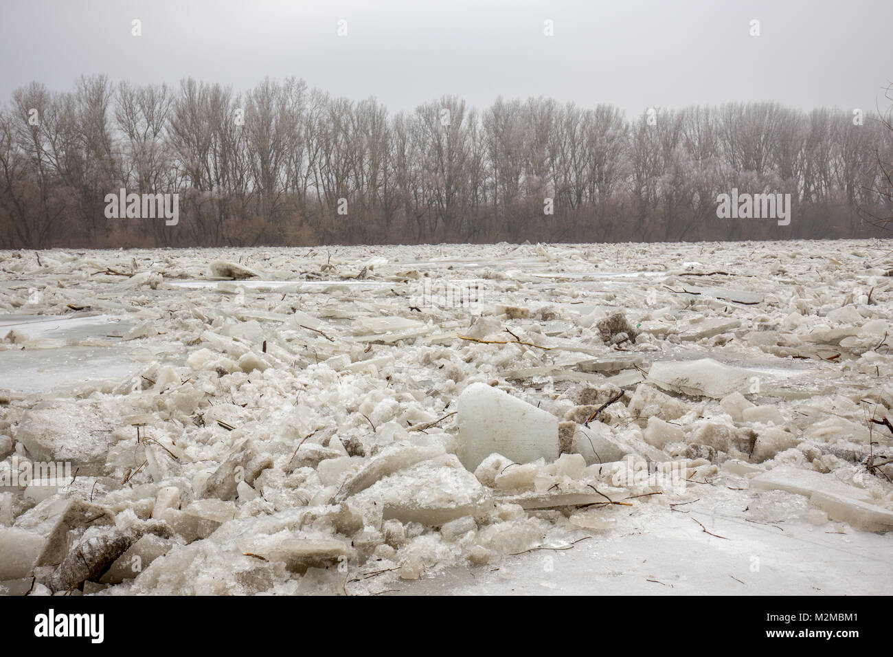 Les crues du printemps, glaces sur la Tisza en Hongrie Banque D'Images