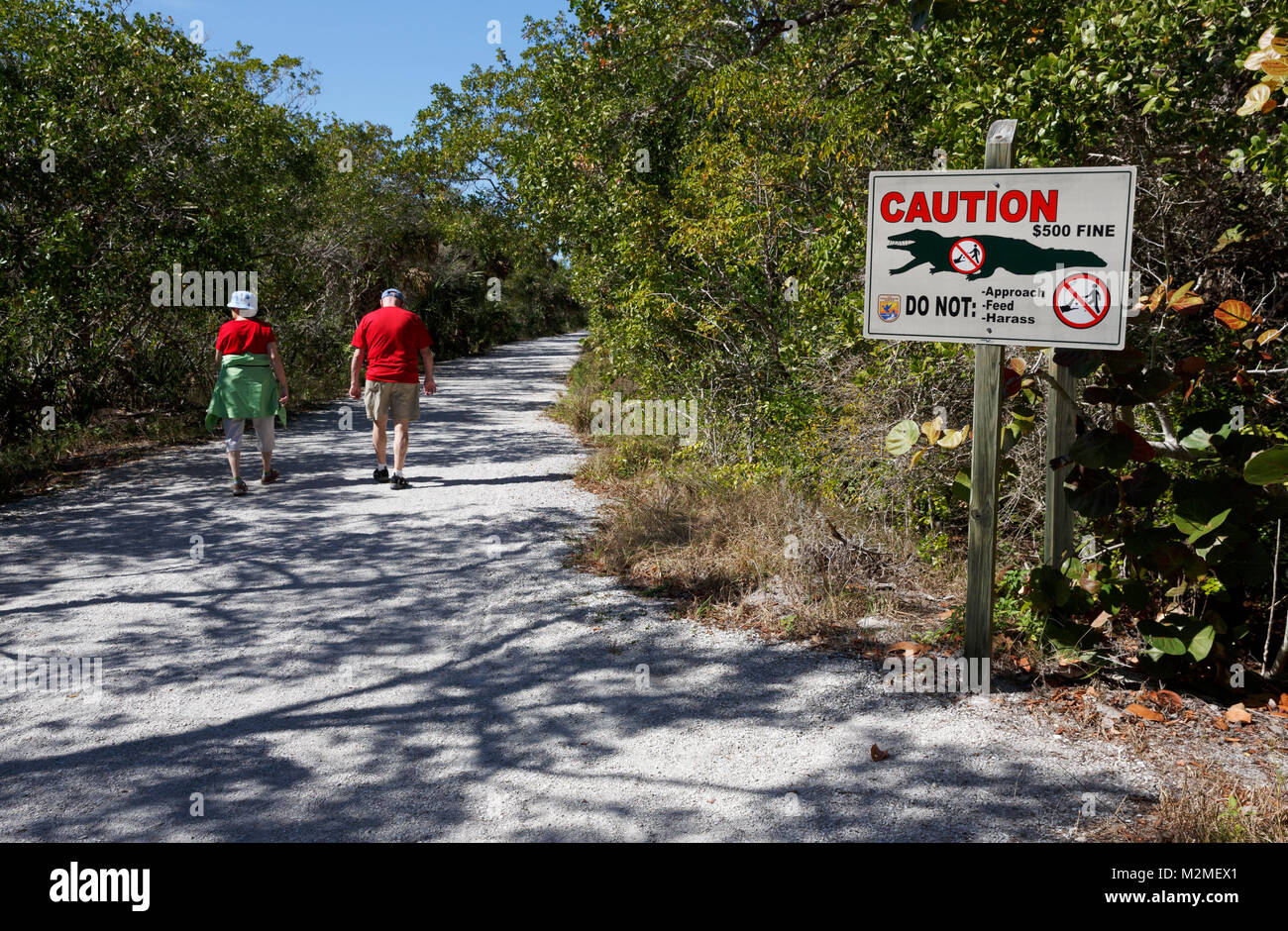 Panneau d'avertissement d'Alligator sur un sentier de randonnée, J. N. Ding Darling National Wildlife Refuge, Sanibel Island, Floride Banque D'Images