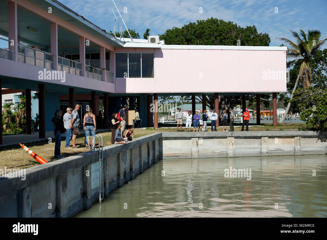 Flamingo, Everglades National Park, Floride Banque D'Images