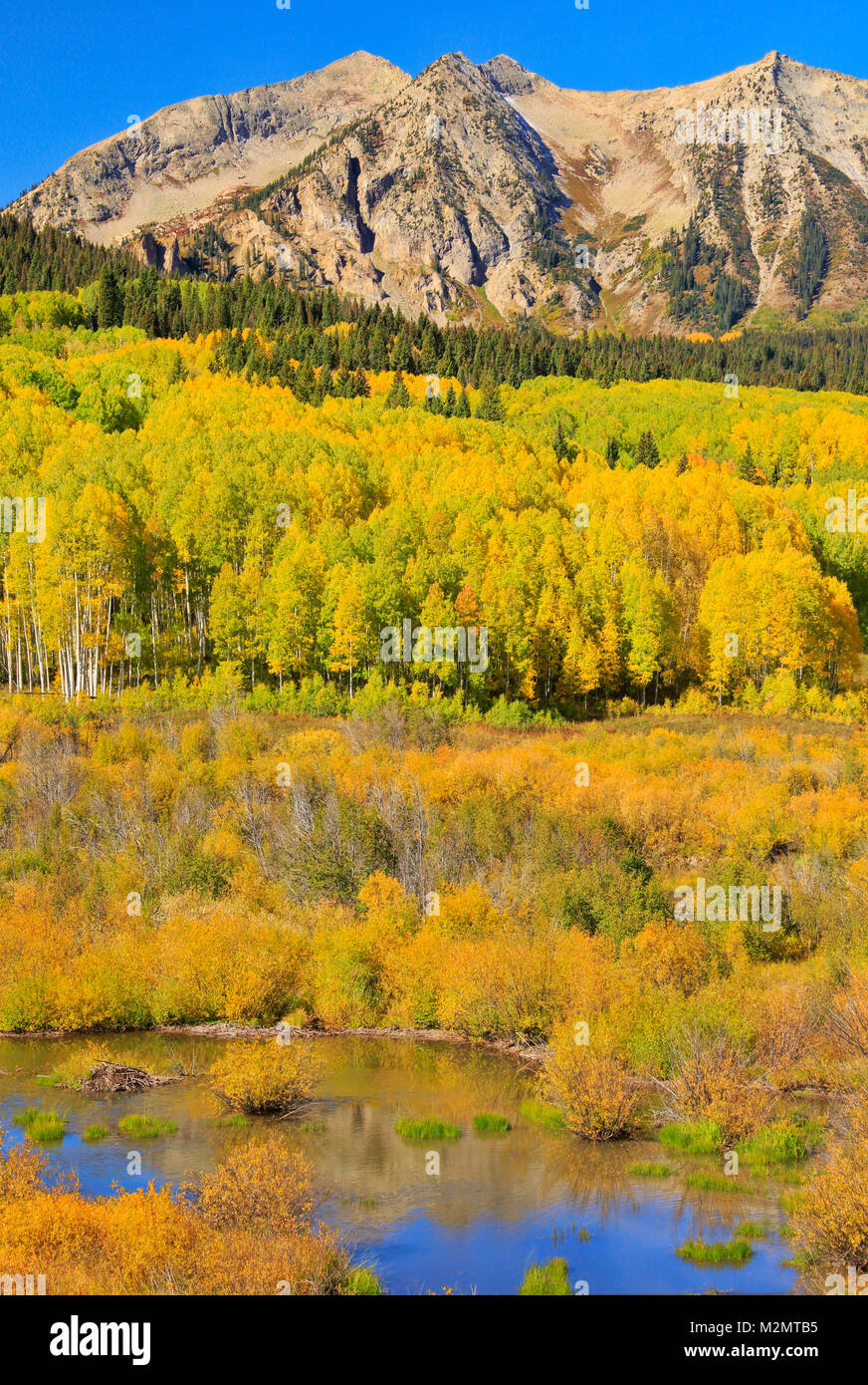 À l'Est, la montagne de Beckwith Kebler Pass, Crested Butte, Colorado, USA Banque D'Images