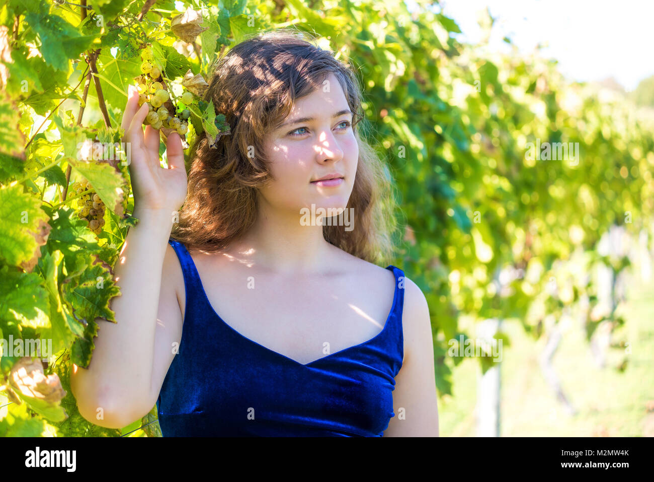 Closeup portrait of young woman's face par vineyard winery feuilles de vigne à raisin vert Virginie holding, toucher avec les mains Banque D'Images