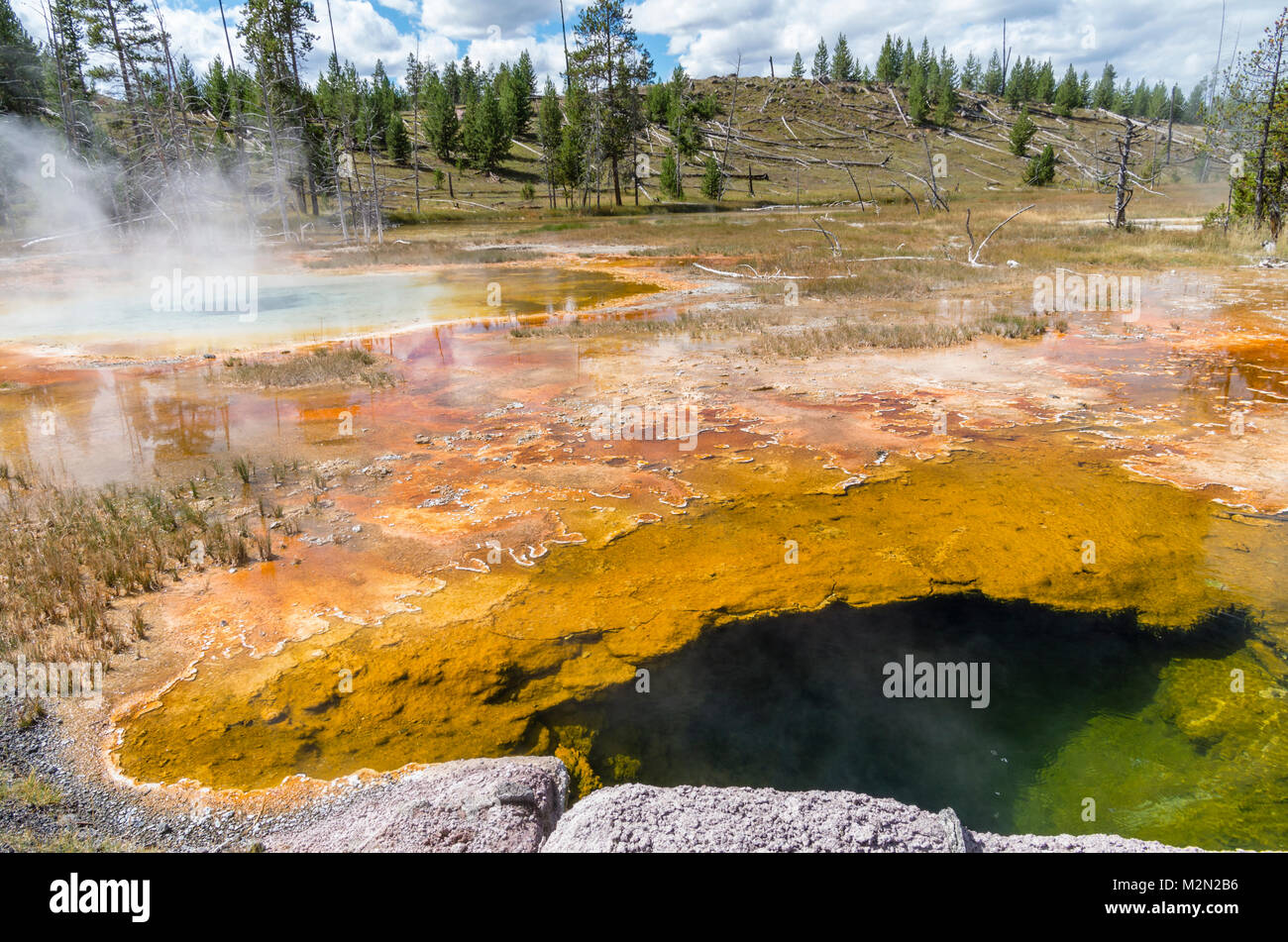 Dans la chaîne du geyser de ponceaux Lake complexe dispose d'un centre vert vif orange sur les côtés. Le Parc National de Yellowstone, Wyoming, USA Banque D'Images