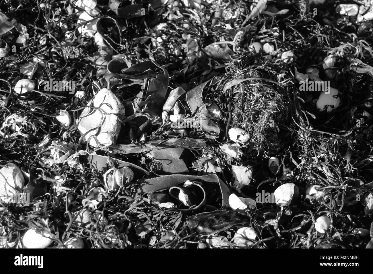 Plage et tempête Banque D'Images